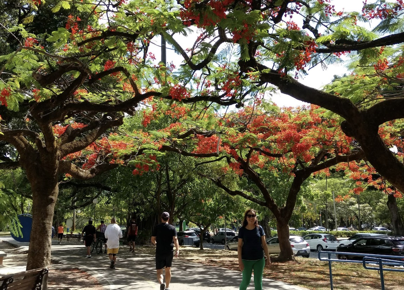 Parque da Jaqueira